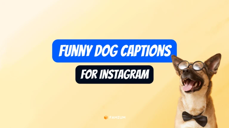 Funny Dog Instagram Captions